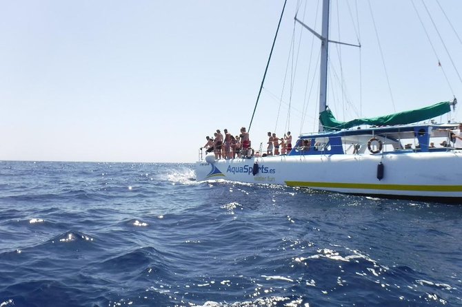 Gran Canaria Catamaran Cruise from Puerto Rico - Key points to know before booking