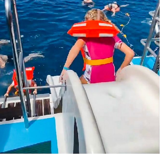Gran Canaria: Catamaran Dolphin Watch Cruise with Snorkeling - The five things worth knowing first
