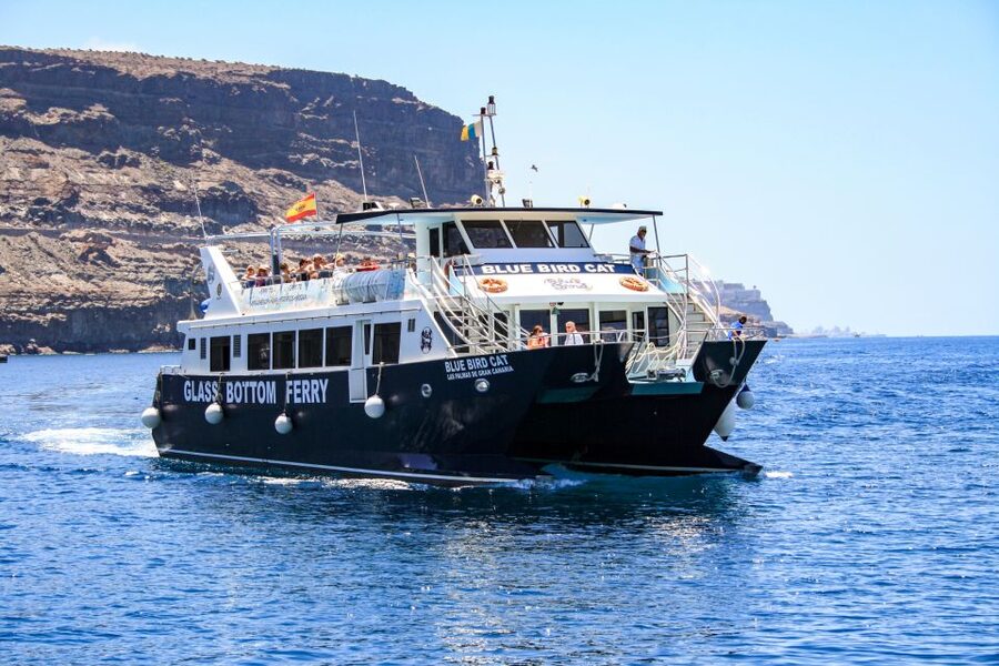 Gran Canaria: Catamaran Dolphin Watch Cruise with Snorkeling - Setting out from Puerto Base in Puerto Rico