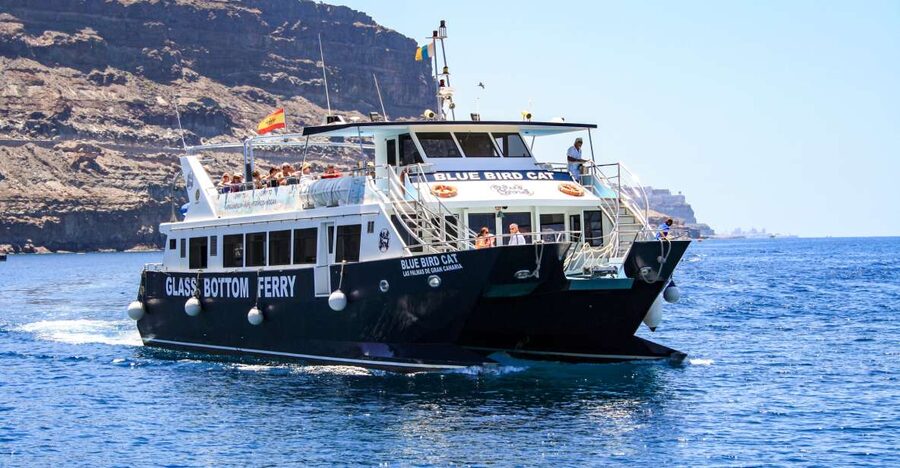 Gran Canaria: Catamaran Dolphin Watch Cruise with Snorkeling - Views of Gran Canaria from the water