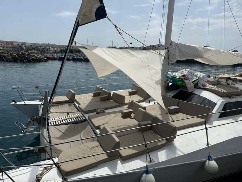 Gran Canaria: Catamaran Tour with Lunch and Drinks - A possible dolphin sighting, not a wildlife safari