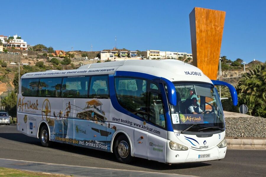 Gran Canaria: Fun Catamaran Cruise with Food and Drinks - The catamaran ride along Gran Canaria’s coast