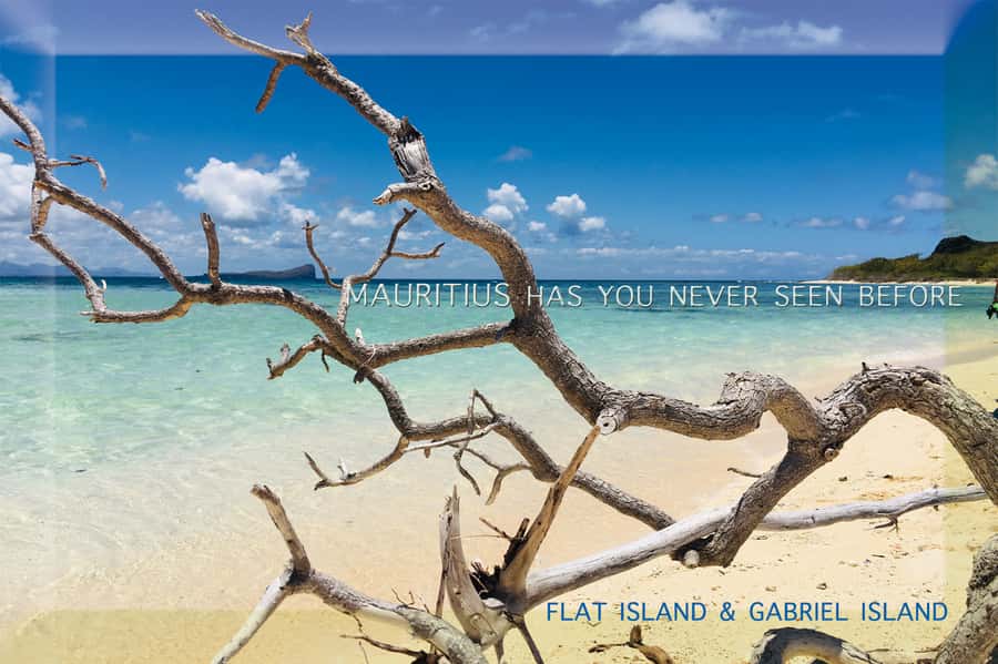 Grand Baie: Catamaran 3 Islands Cruise & Lunch on the Island - Who will enjoy this cruise most