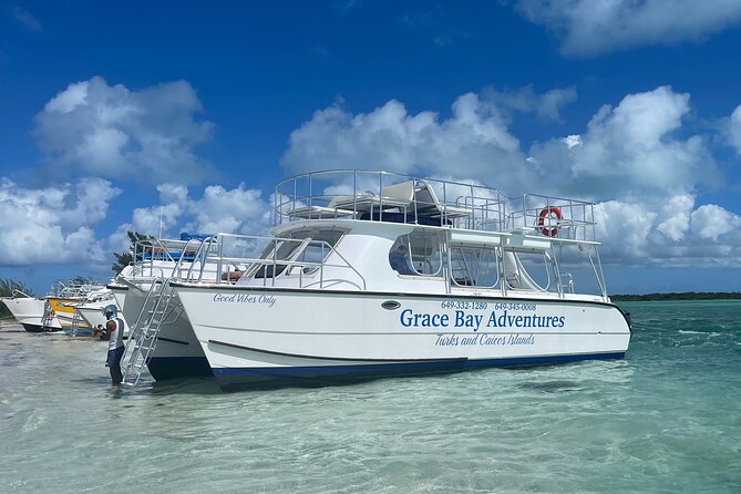 Group Catamaran 4 hr tour coral reef fun Iguana island adventure! - Key points at a glance