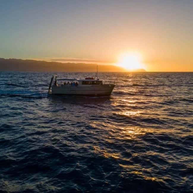 Haleiwa: North Shore Whale Watching Tour by Catamaran - Should you book this North Shore catamaran tour?