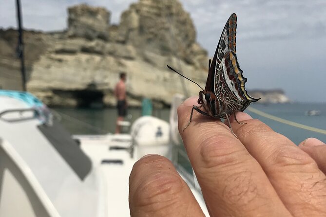 Half day Catamaran Morning Cruise in Kleftiko - Arkoudes and the volcanic coast