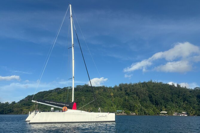 Half day catamaran sailing in the Sailinity Lagoon - Watching sharks, rays, and turtles from the catamaran