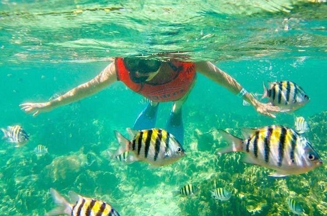 Half Day Catamaran & Snorkeling - Drinks, fruit, nachos, and the onboard mood