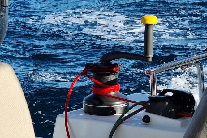 Half Day Catamaran Tour in Algarve - Lagos - Weather, swimming, and practical expectations