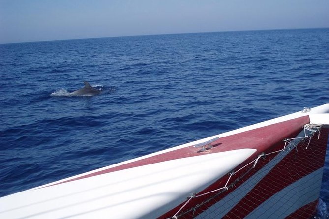 Half-Day Catamaran Trip in Menorca - Who will enjoy this Menorca boat trip most?