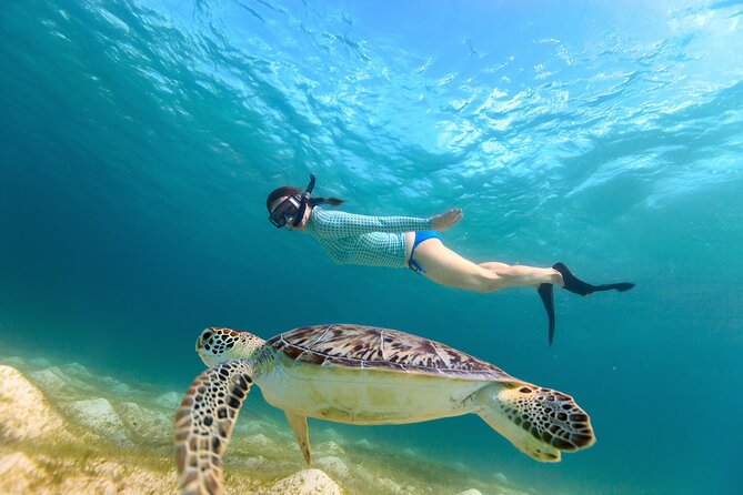 Half-Day Florida Keys Catamaran Snorkel Adventure - Riding through John Pennekamp Coral Reef State Park