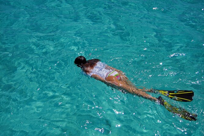 Half-Day Florida Keys Catamaran Snorkel Adventure - What the crew does well