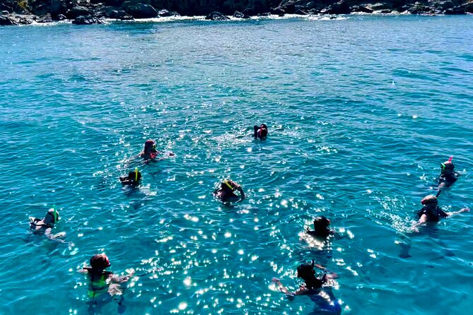 Half Day Luxury Catamaran Turtle Snorkel And Beach - Why the 12-person limit matters on the water