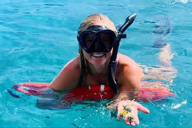 Half Day Luxury Catamaran Turtle Snorkel And Beach - Leaving Yacht Haven Grande in Charlotte Amalie