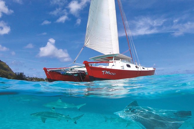 Half Day Tour : Moorea Snorkeling & Sailing on a Catamaran named Taboo - What makes this Taboo outing worth considering