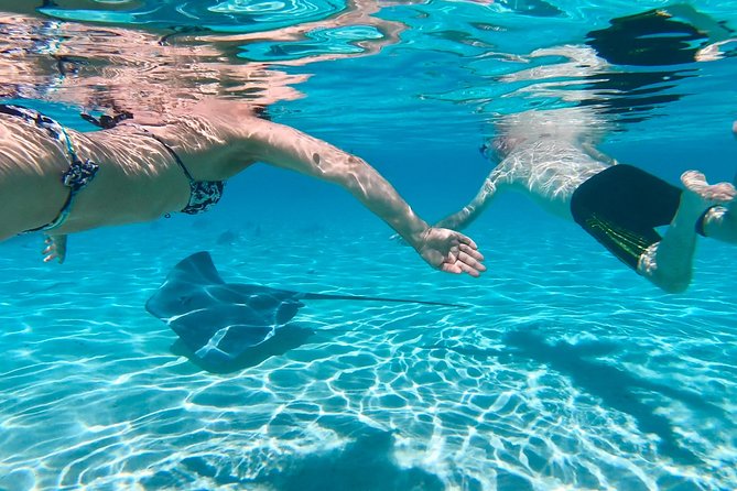 Half Day Tour : Moorea Snorkeling & Sailing on a Catamaran named Taboo - Ōpūnohu Bay and Moorea’s mountain setting