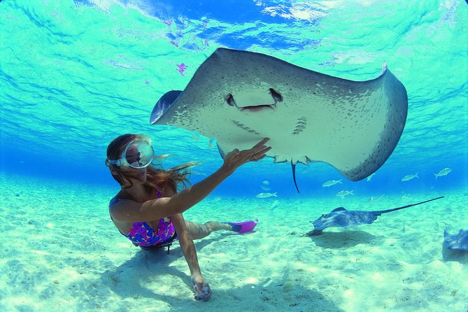 Half Day Tour : Moorea Snorkeling & Sailing on a Catamaran named Taboo - Coral gardens, tropical fish, and underwater tikis