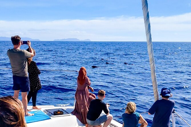 Half Day Tour on a Luxury Catamaran on Madeira Island - Crew service and the mood on board