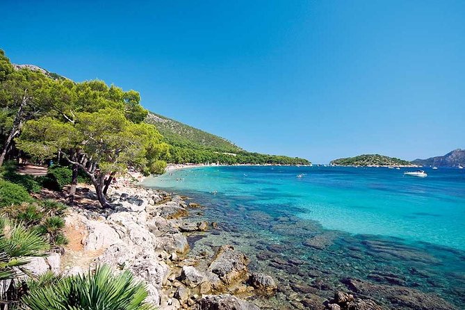 Half-Day Visit to Formentor Beach by Catamaran - Is $46.95 Good Value?
