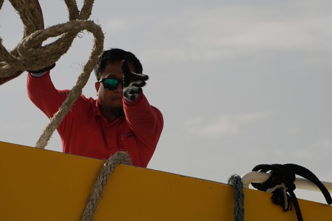 Highspeed Catamaran Crossing Between Malta and Gozo - Is the $8.73 fare good value?