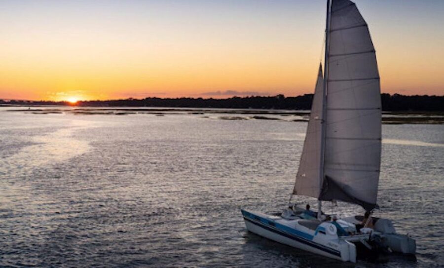Hilton Head: Private Dolphin Day or Sunset Catamaran Sail - Reading the Hilton Head salt marsh