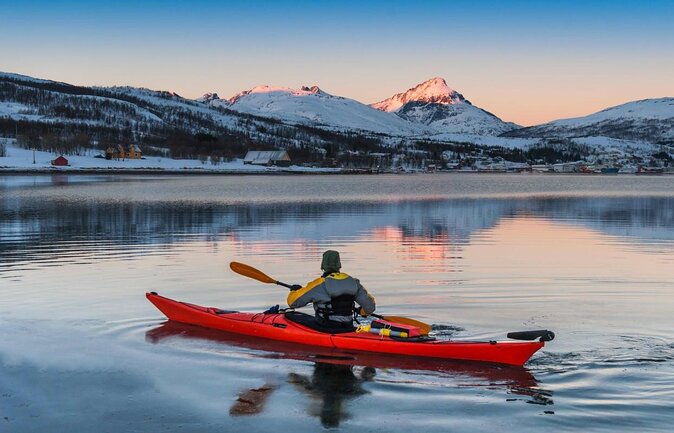 History Fjordcruise Around The Isle Of Tromso - Luxury Catamaran - Key points to know before you book