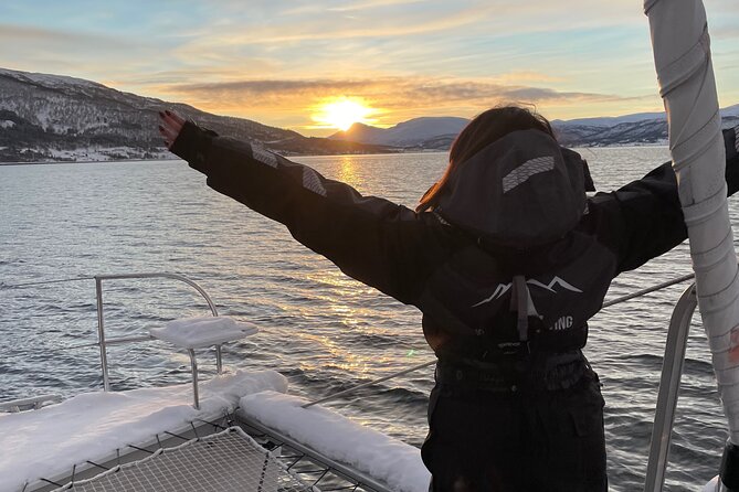 History Fjordcruise Around The Isle Of Tromso - Luxury Catamaran - Kvaløya and the value of seeing Tromsø by water