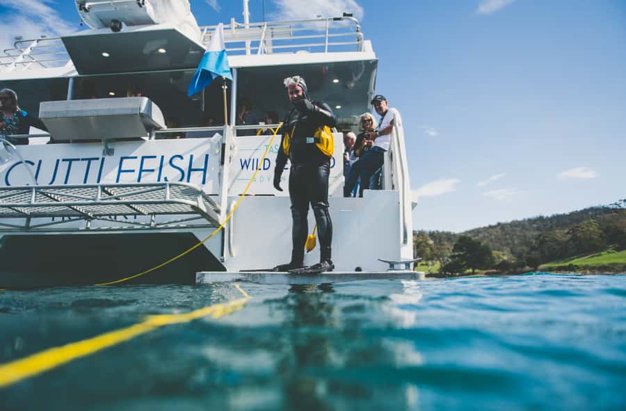 Hobart: Ultimate Seafood Cruise on a Spacious Catamaran - Key things to know before boarding