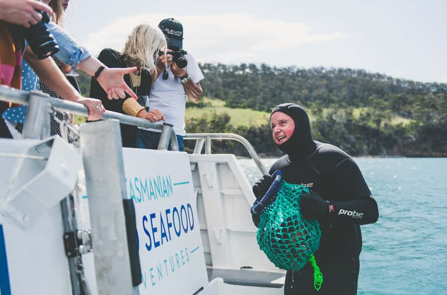 Hobart: Ultimate Seafood Cruise on a Spacious Catamaran - Meeting Cuttlefish at Elizabeth Street Pier