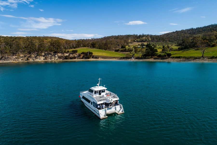 Hobart: Ultimate Seafood Cruise on a Spacious Catamaran - A boat built for open-water comfort