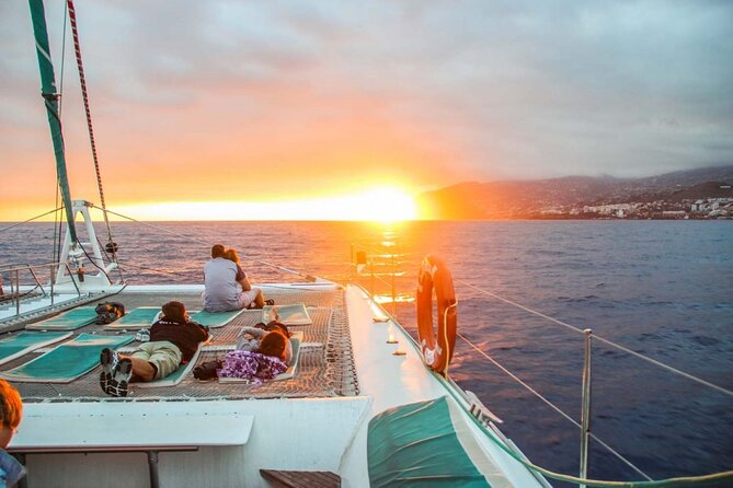 Hop-on Hop-off Bus Tour and Catamaran Whale & Dolphin Watching - Five useful things to know before you go