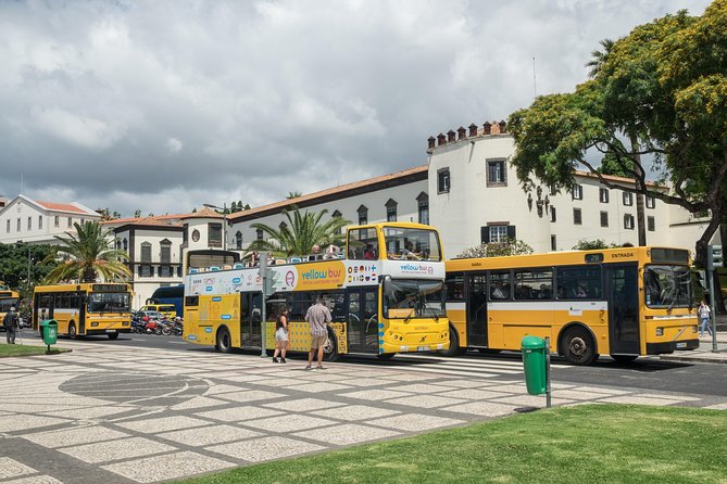 Hop-on Hop-off Bus Tour and Catamaran Whale & Dolphin Watching - Quinta Magnólia and the central-west route