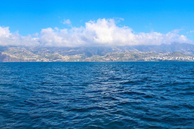 Hop-on Hop-off Bus Tour and Catamaran Whale & Dolphin Watching - Old Funchal: gates, market, and cathedral