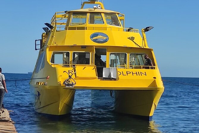 Hula Hula Island by Catamaran with Parasailing Fly - Hurghada - The snorkeling stop: fish, coral, and plants