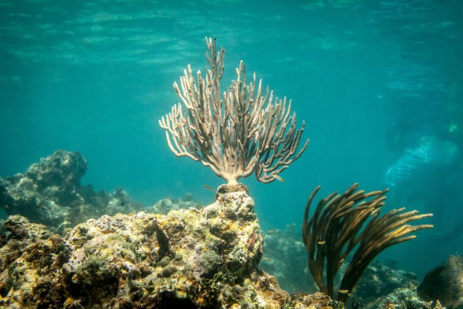 Icacos Deserted Island Catamaran, Snorkel, and Picnic Cruise - Boat comfort and the group atmosphere