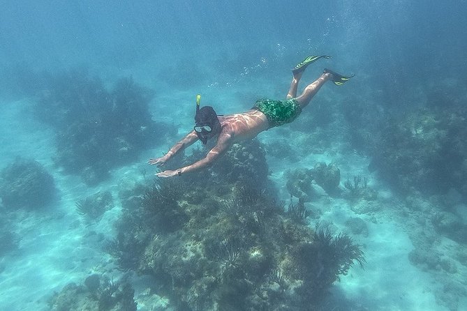 Icacos Deserted Island Catamaran, Snorkel, and Picnic Cruise - Timing, weather, and simple preparation