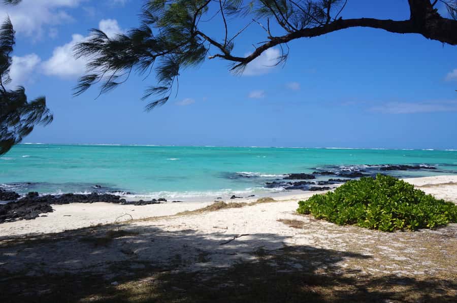 Ile Aux Cerfs Catamaran Cruise sailing from Mahebourg - What this seven-hour catamaran day feels like