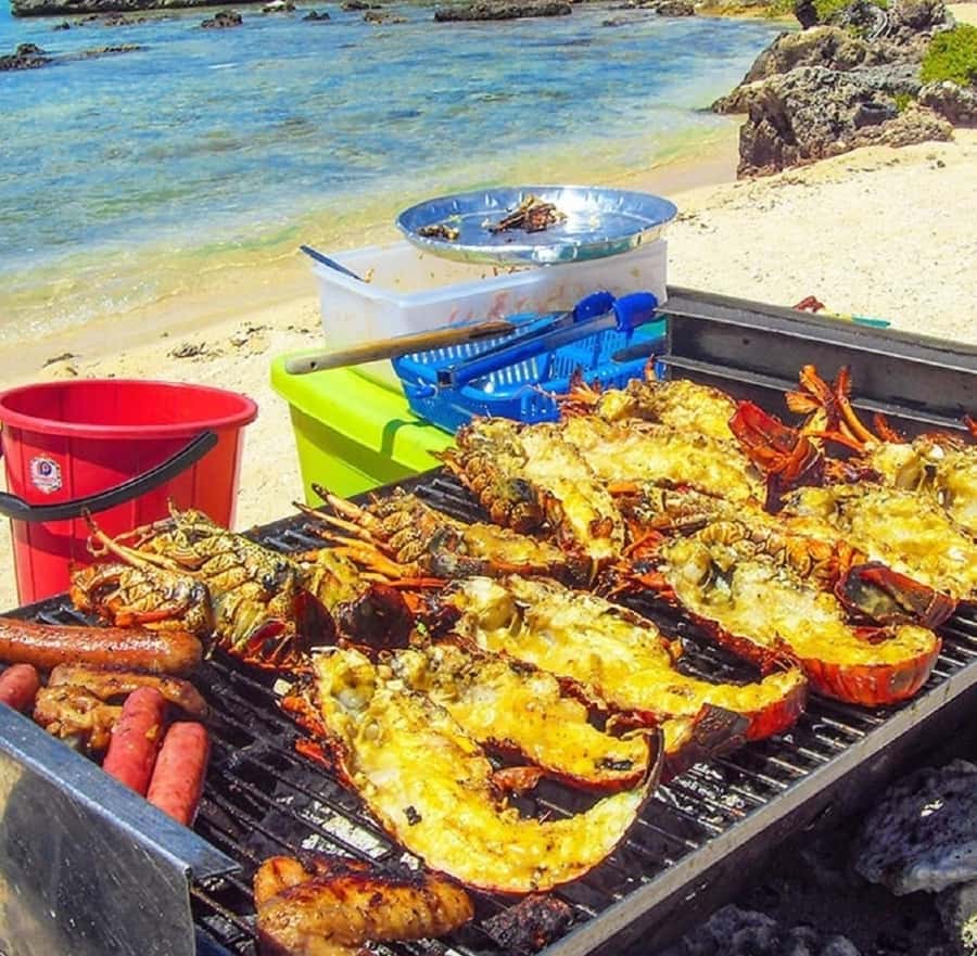 Ile Aux Cerfs Catamaran Cruise with Pick-up/Drop-off & Lunch - Should you book the Ile aux Cerfs catamaran cruise?