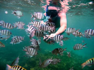 Ilot Gabriel: Catamaran Cruise & BBQ Lunch