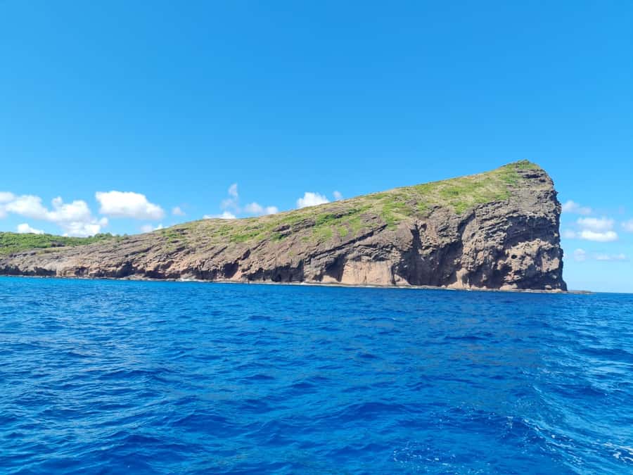 Ilot Gabriel: Catamaran Cruise & BBQ Lunch - Who will enjoy this catamaran day most?