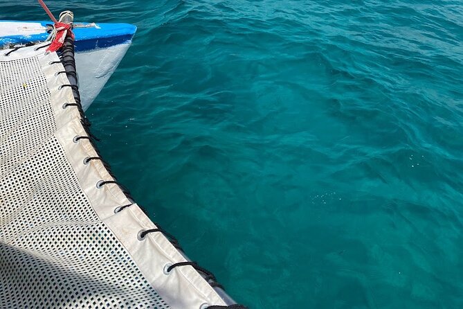 Isla Mujeres Basic Tour in Catamaran with Snorkel and Open Bar - Who will enjoy this Isla Mujeres tour most
