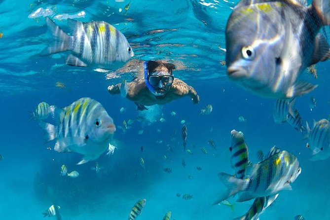 Isla Mujeres Catamaran Adventure All Inclusive from Cancun - Starting at Marina Las Perlas in Cancun
