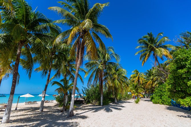 Isla Mujeres Catamaran, Open Bar & Optional Buffet and pick up - Snorkeling at a protected reef