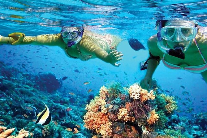 Isla Mujeres Catamaran, Open Bar & Optional Buffet and pick up - The return cruise to Cancun