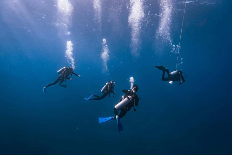 Isla Mujeres: Catamaran Ride with Open Bar, Snorkeling, and Lunch - The first catamaran ride across the Caribbean
