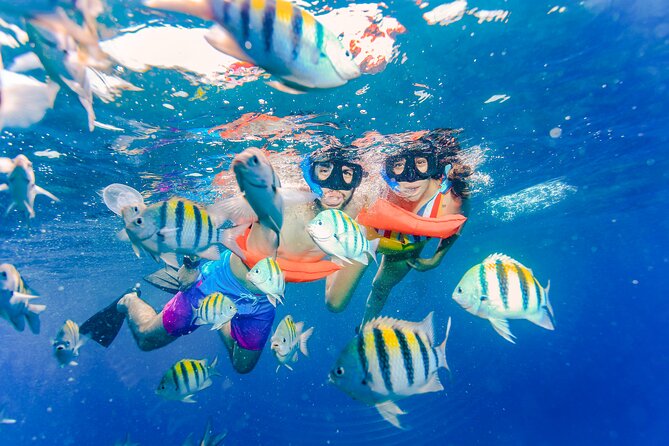 Isla Mujeres Catamaran tour with Open Bar, Lunch and Snorkeling - A short walk for photos before returning