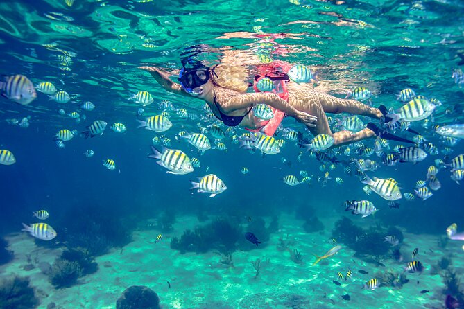 Isla Mujeres Catamaran tour with Open Bar, Lunch and Snorkeling - Booking, cancellation, and practical checks