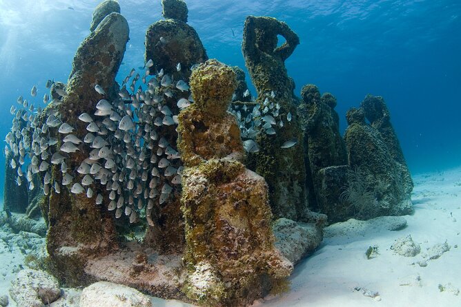 Isla Mujeres Catamaran Tour with Snorkeling at MUSA, Buffet Lunch & Open Bar - What the $20 extra charge really covers