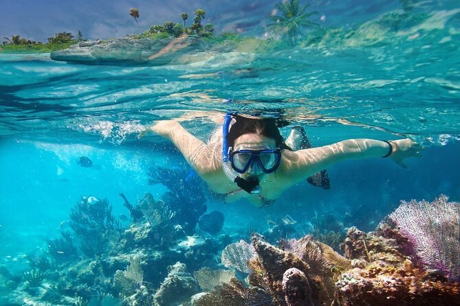 Isla Mujeres Catamaran Tour with Snorkeling, Open Bar & Buffet - Communication, guides, and group comfort