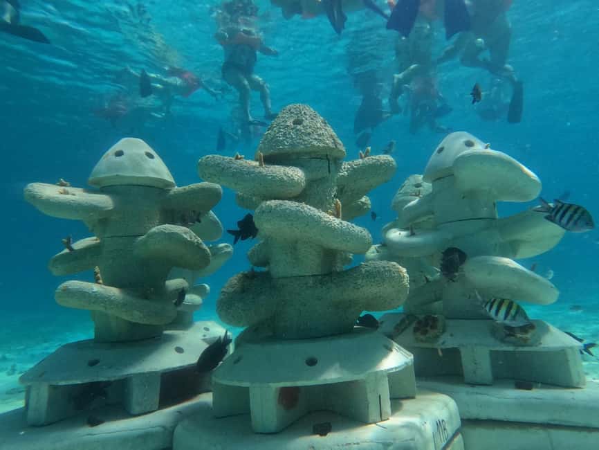 Isla Mujeres: Full Day Private Catamaran with Snorkeling - Why a private 36-foot catamaran changes the day